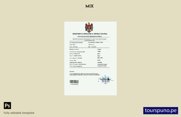 Plantilla de permiso de trabajo en Moldavia lista para imprimir